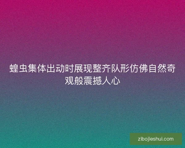 蝗虫集体出动时展现整齐队形仿佛自然奇观般震撼人心 蝗虫集体出动时展现整齐队形仿佛自然奇观般震撼人心