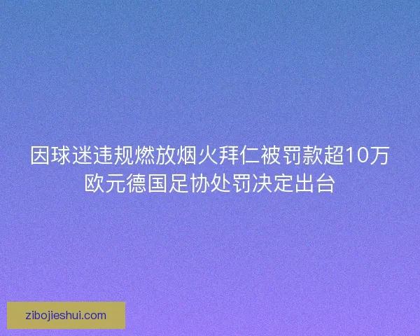 因球迷违规燃放烟火拜仁被罚款超10万欧元德国足协处罚决定出台