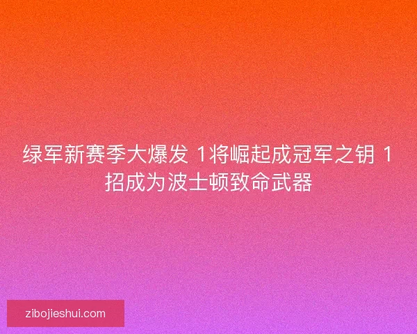 绿军新赛季大爆发 1将崛起成冠军之钥 1招成为波士顿致命武器
