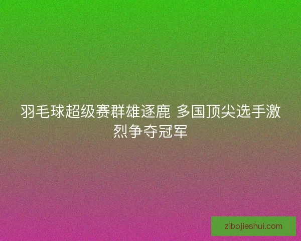 羽毛球超级赛群雄逐鹿 多国顶尖选手激烈争夺冠军